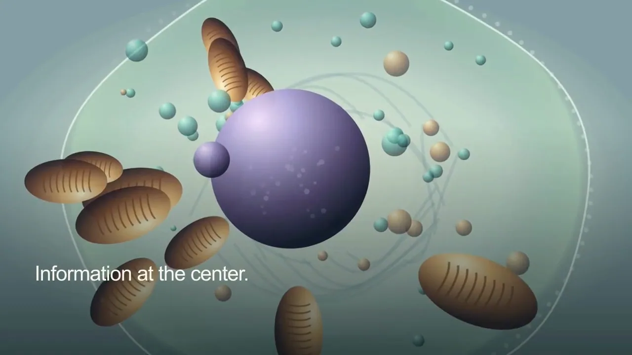 A world within a cell.