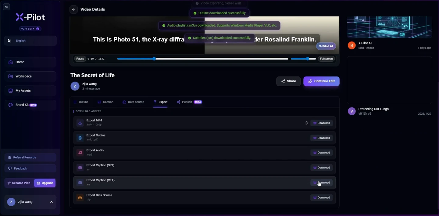 Inspect the export options in a real video project